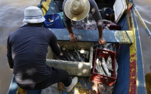 pescadores-beneficiados-pelo-s