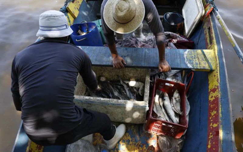 pescadores-beneficiados-pelo-s