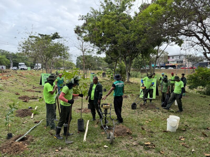 prefeitura-planta-134-mil-muda