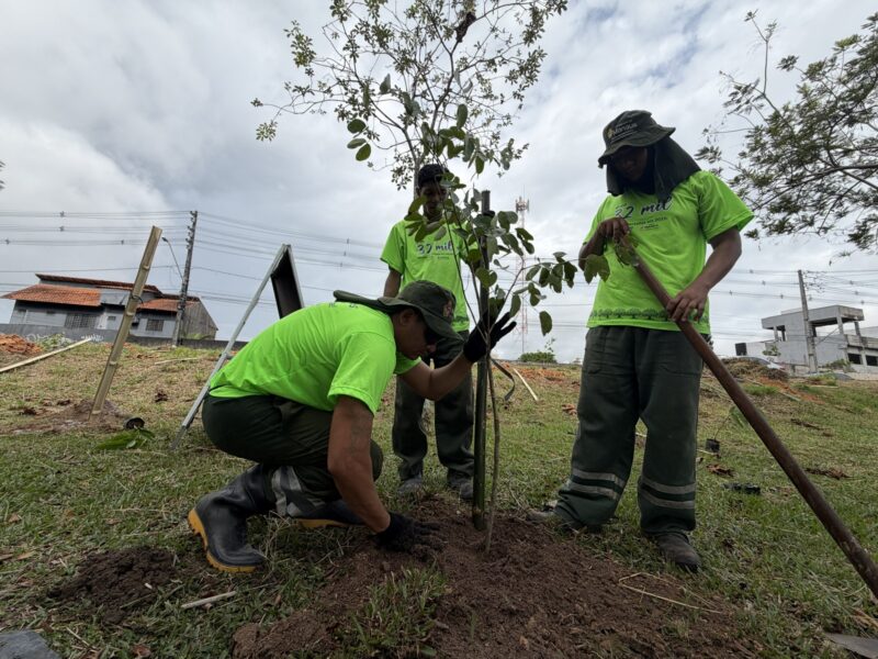 prefeitura-planta-134-mil-muda
