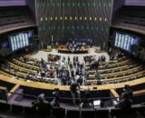congresso-libera-spray-de-pime