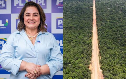 depois-de-bolsonaro-maria-do-c