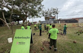 prefeitura-planta-134-mil-muda
