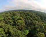 amazonas-registra-queda-de-301