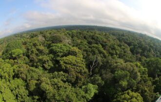 amazonas-registra-queda-de-301