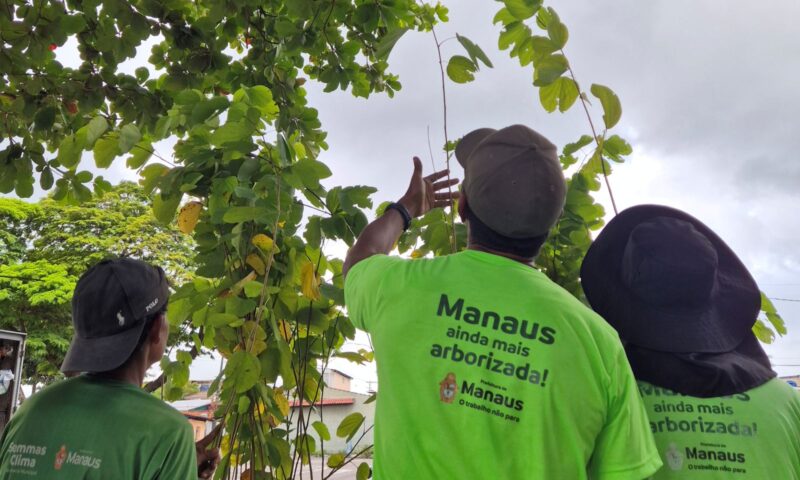 csu-do-parque-10-passa-por-man
