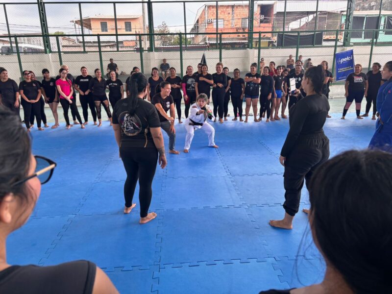 curso-de-defesa-pessoal-femini