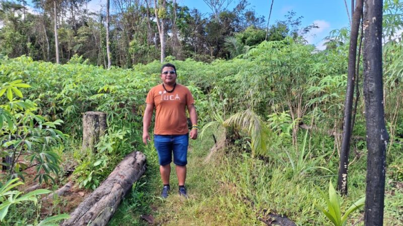 fundo-verde-atrasa-e-petroleo-