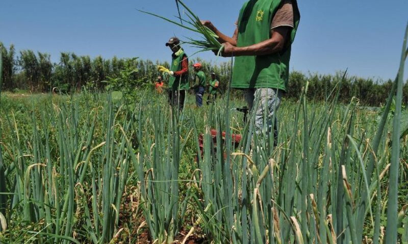 governo-apresenta-plano-para-d