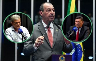 governo-do-am-especialistas-de