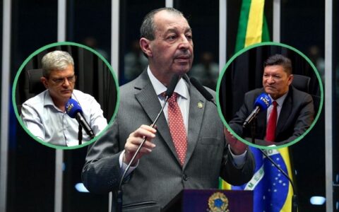 governo-do-am-especialistas-de