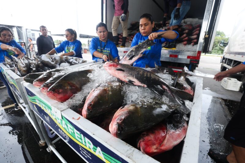 programa-compra-470-toneladas-