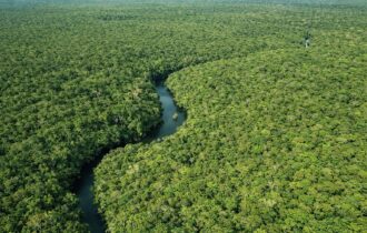 amazonas-registra-queda-de-301