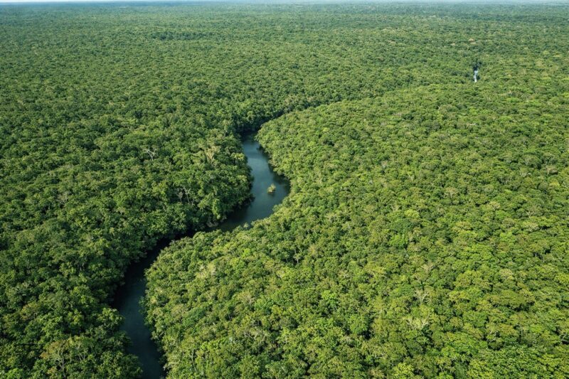 amazonas-registra-queda-de-301
