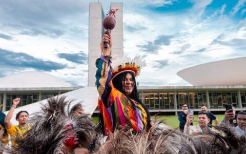 cotas-para-indigenas-nas-eleic