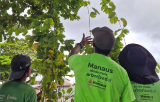 csu-do-parque-10-passa-por-man