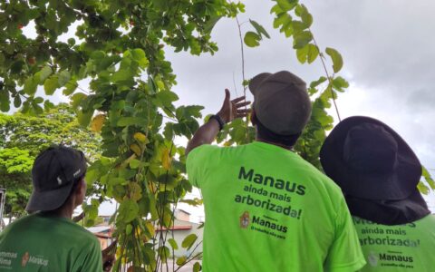 csu-do-parque-10-passa-por-man