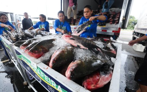 programa-compra-470-toneladas-
