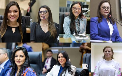 Parlamentares do Amazonas conciliam maternidade e atuação política