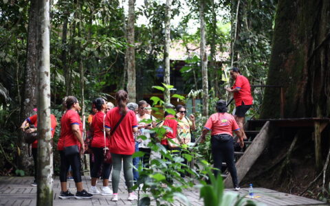 Prefeitura leva grupo de idosas para passeio no Musa