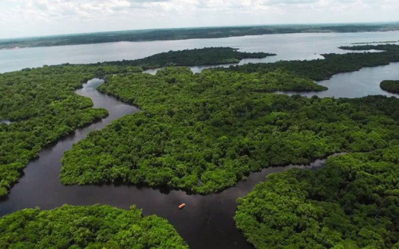 amazonas-integra-acordo-para-f