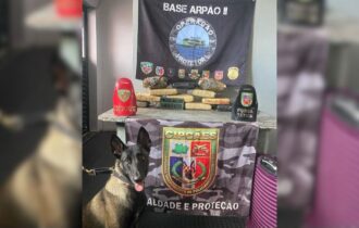 base-arpao-2-cao-policial-loca