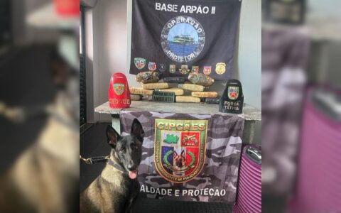 base-arpao-2-cao-policial-loca