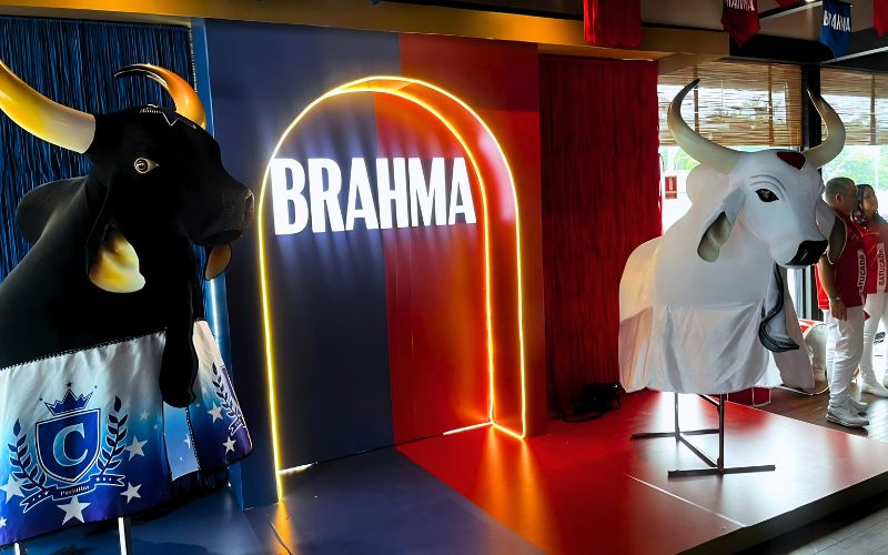 brahma-lanca-novas-latas-temat