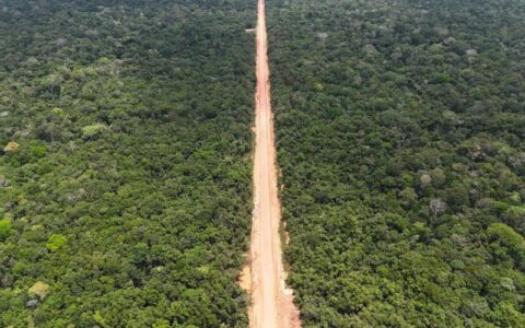 ibama-concede-licenca-ambienta