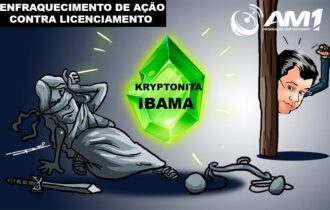 ibama-enfraquece-acao-e-impuls