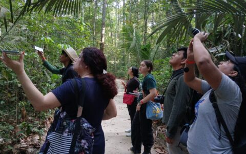 vem-passarinhar-manaus-abre-va