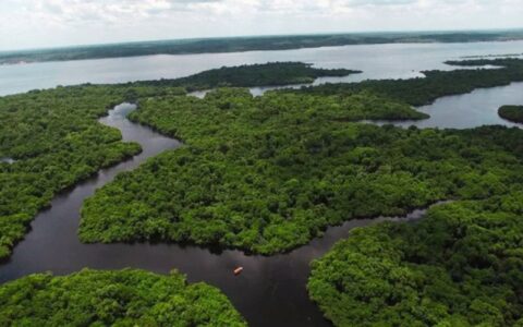 amazonas-integra-acordo-para-f