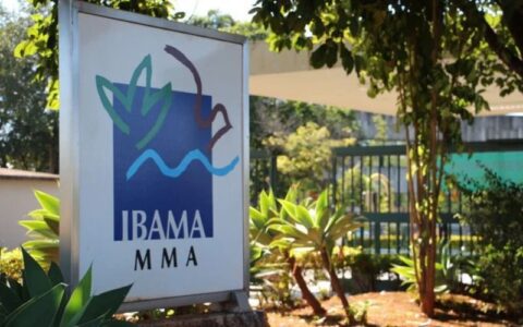 ibama-lanca-chamada-nacional-p