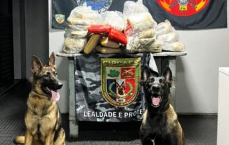mais-de-91-quilos-de-drogas-sa