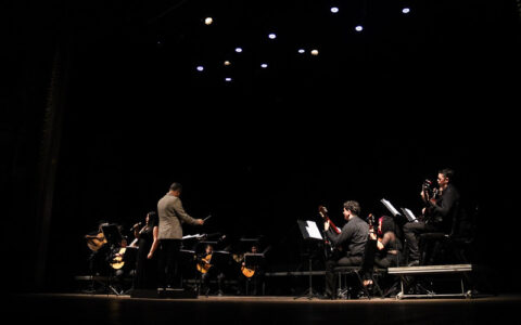 orquestra-de-violoes-apresenta