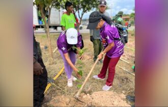 prefeitura-promove-plantio-de-