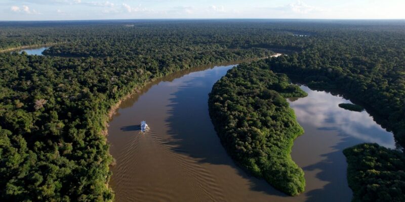 amazonas-registra-queda-de-57-