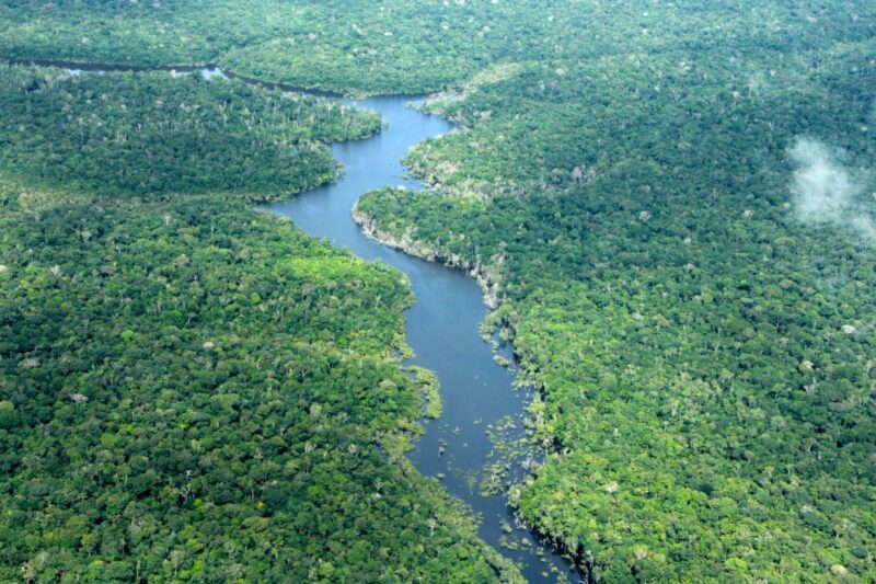 amazonas-registra-queda-de-57-