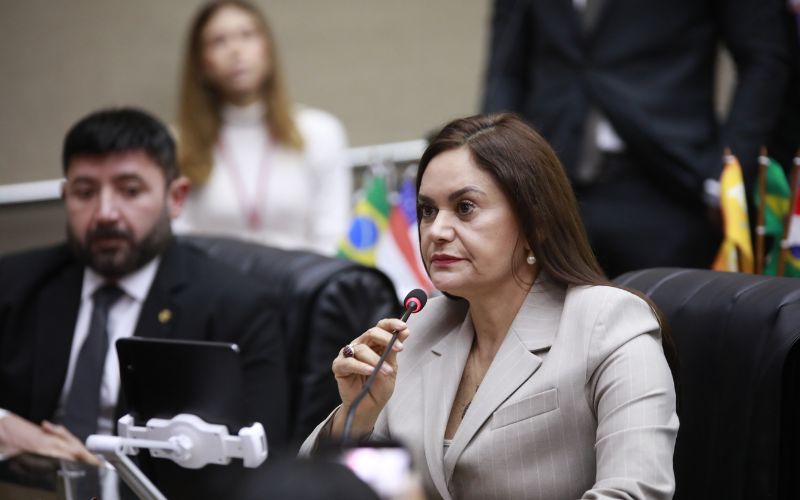 apos-passagem-pela-aleam-profe