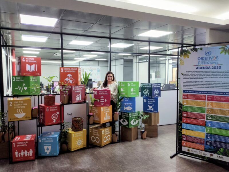 tce-am-promove-debate-sobre-cl