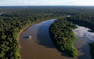 amazonas-registra-queda-de-57-