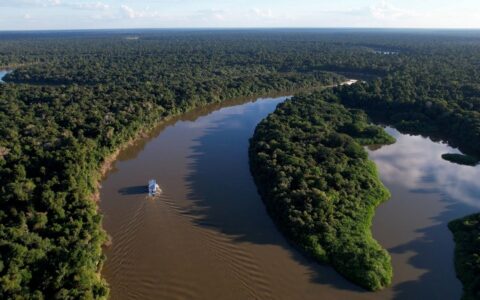 amazonas-registra-queda-de-57-