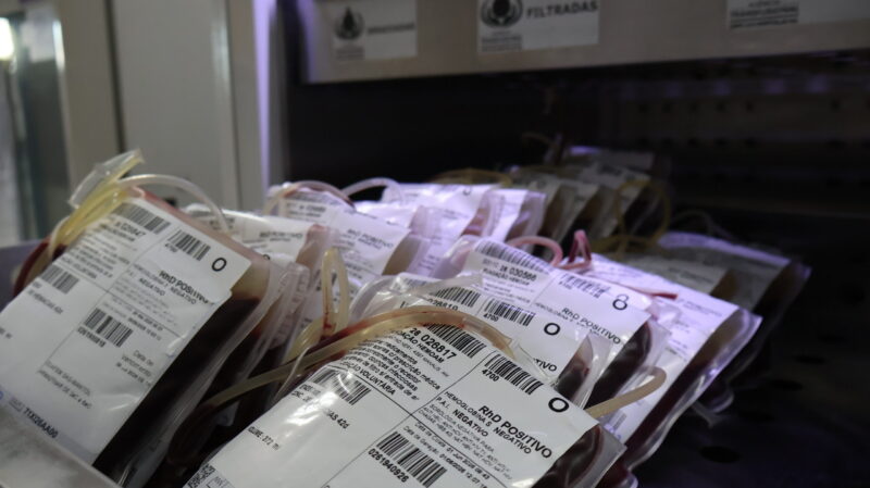 campanha-reforca-necessidade-d