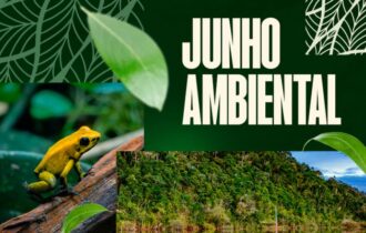 garimpo-ilegal-e-desmatamento-