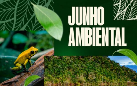 garimpo-ilegal-e-desmatamento-