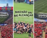toada-pode-remar-do-garantido-