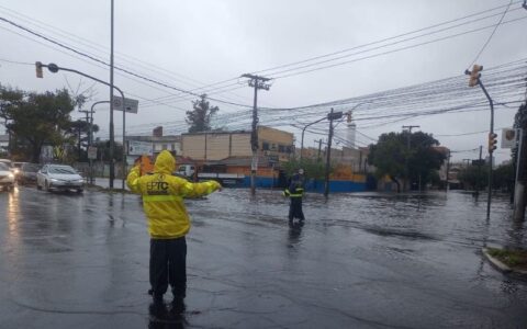 chuva-governo-reconhece-situac