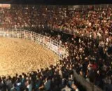 falta-de-transparencia-na-agro