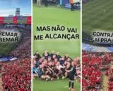 toada-pode-remar-do-garantido-