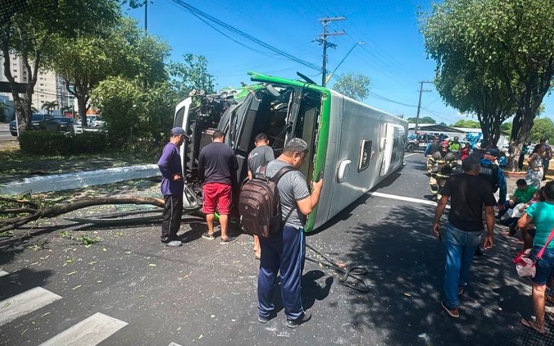 onibus-tomba-apos-bater-em-arv